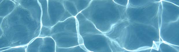 Saltwater Pools Coconut Grove